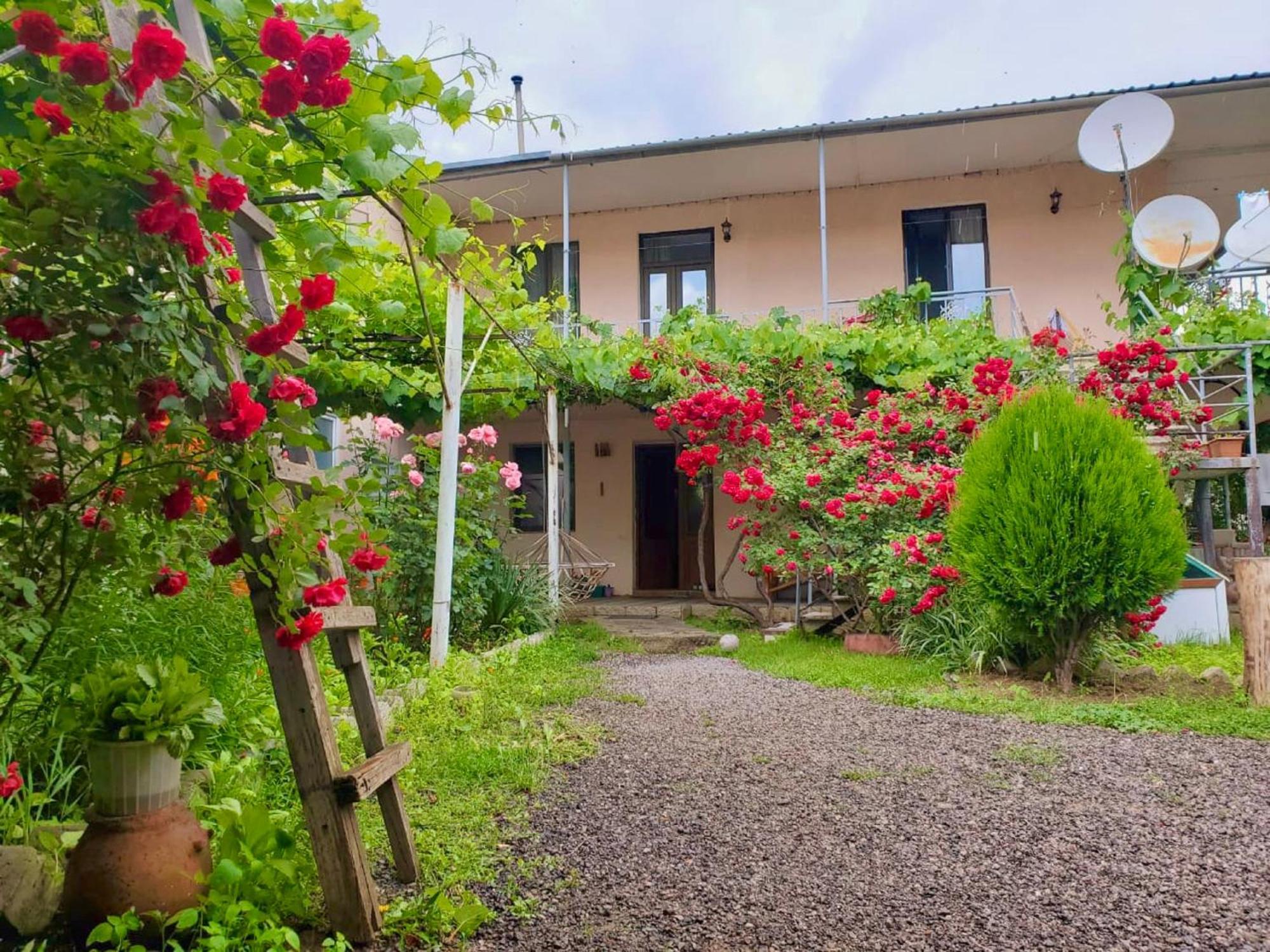 Guesthouse Mtkvari Nakalakevi المظهر الخارجي الصورة