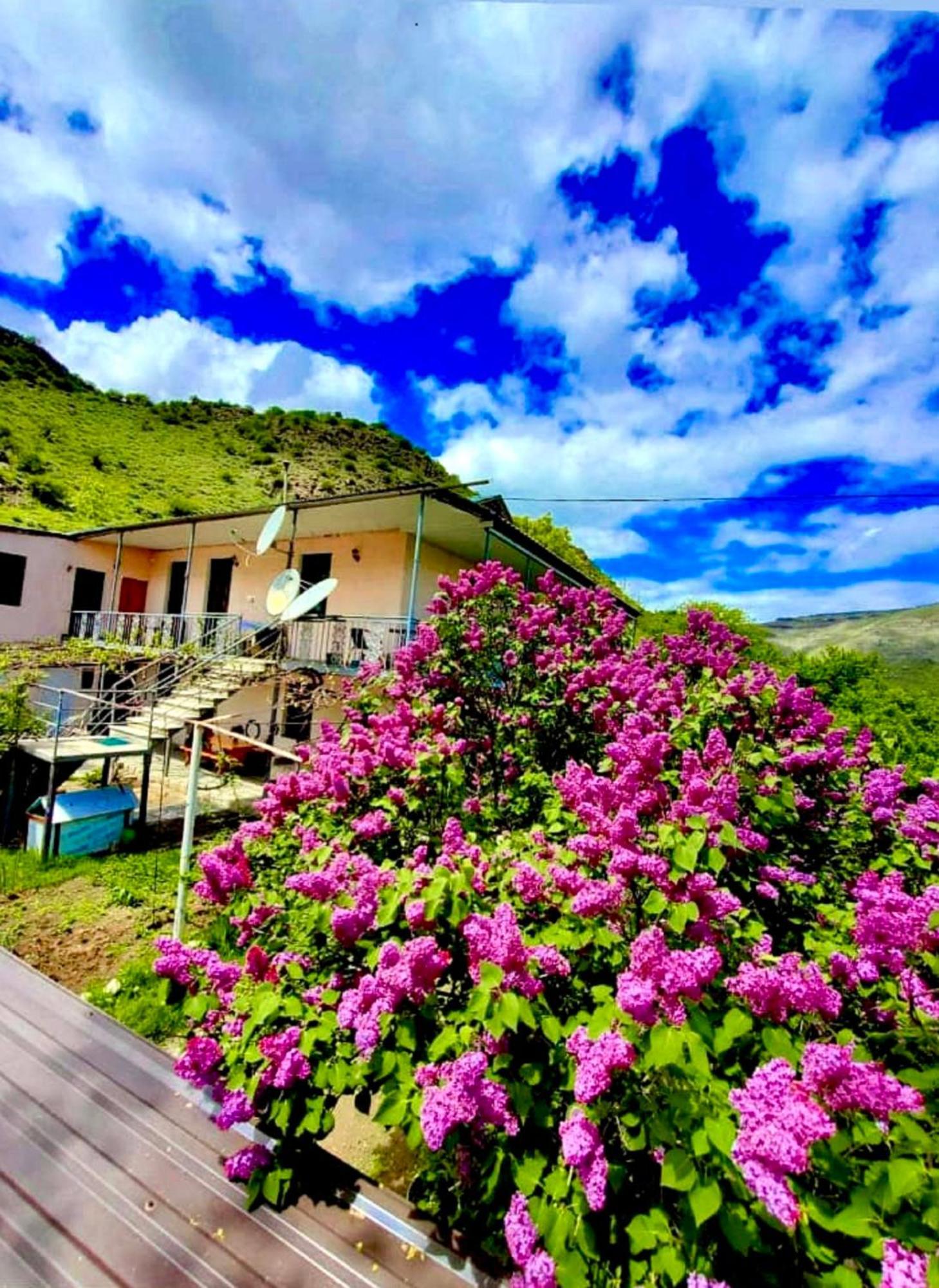Guesthouse Mtkvari Nakalakevi المظهر الخارجي الصورة